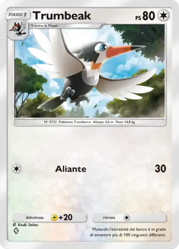 CardImage